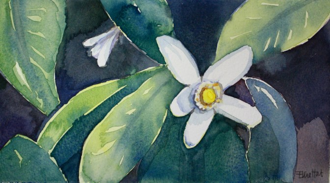 Little Flowers : : my messy beautiful : : Postcards from Heaven