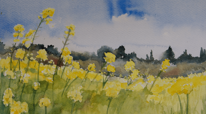 a burst of yellow flowers