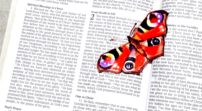 Blessings and Butterflies